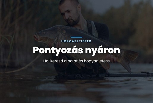 Pontyozás nyáron: hol keresd a halat és hogyan etess